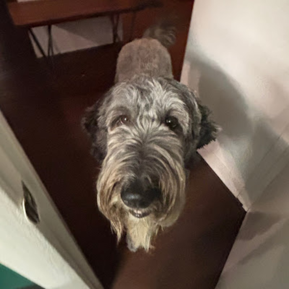 Meet your Posher, Gemma